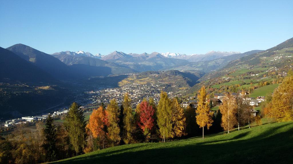 Hofer 2* Brixen
