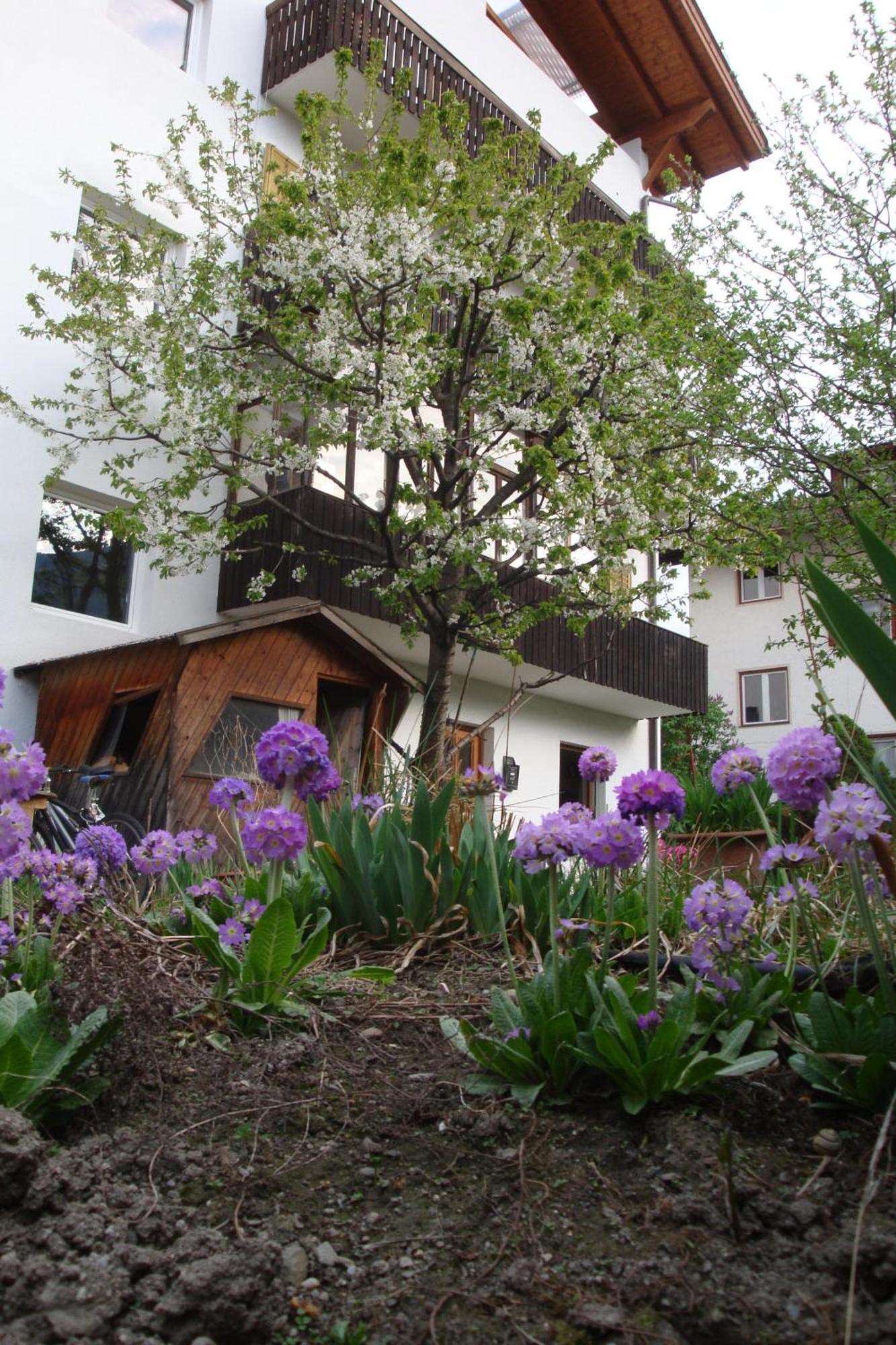Aparthotel Hofer 2*