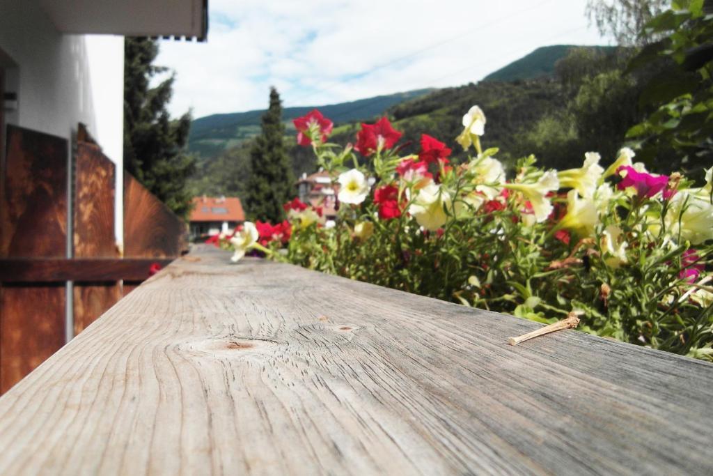 Hofer Brixen